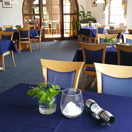 Zum Anger Ξενοδοχείο Neukirchen-Pleiße